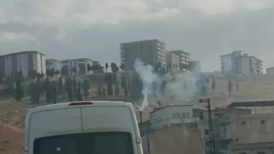 Sacır dumanları iş yeri - Sacır Dumanları Iş Yeri: Sacır'da Dumanlar - İş Yerleri T...