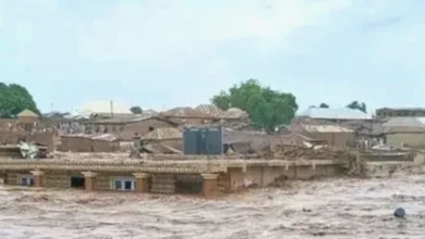 sel felaketi - Sınırımızın hemen yanında sel felaketi: 4 çocuk öldü