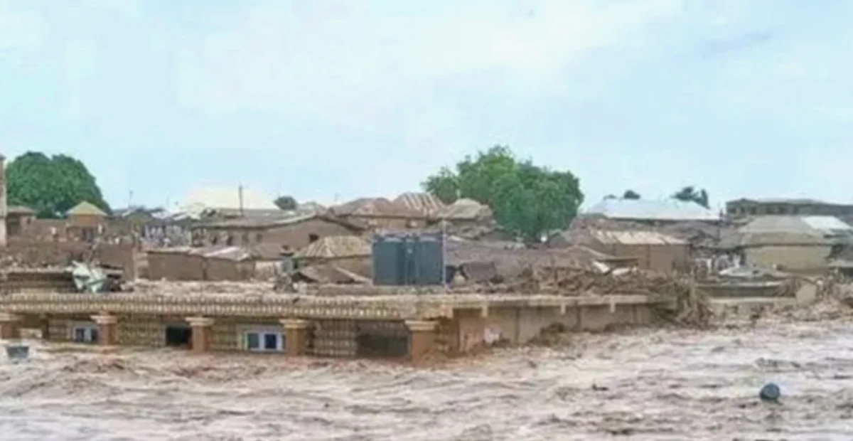 Sınırımızın hemen yanında sel felaketi: 4 çocuk öldü