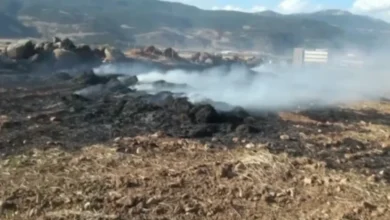 tarlada yangın - Tarla Sahibi: Anız Yangını Korkulacak Değil