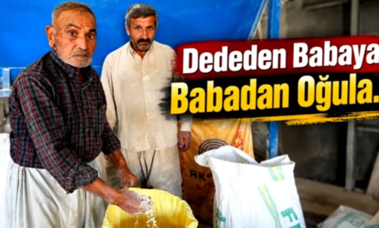 usta değirmenci - Usta Değirmenci: 47 Yıllık Un Yolculuğu