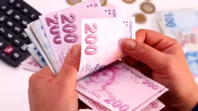 vatandaşlık maaşı - Vatandaşlık maaşı sınırı: 23.552 TL ne anlama geliyor?