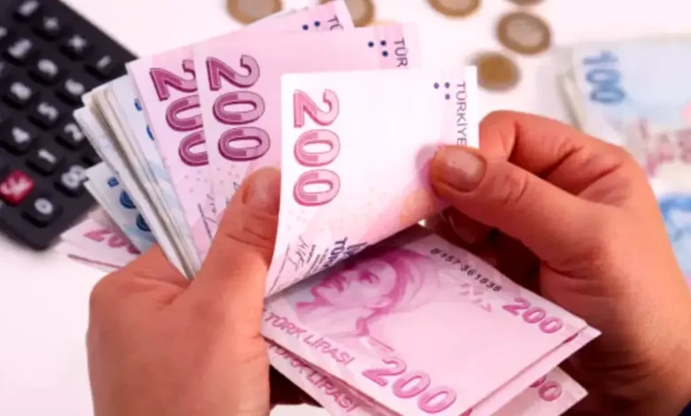 vatandaşlık maaşı - Vatandaşlık maaşı sınırı: 23.552 TL ne anlama geliyor?
