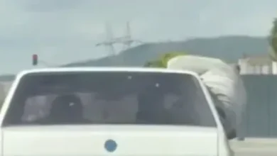 Yeşilvadi Tehlikeli Akrobat - Yeşilvadi'de Tehlikeli Akrobat: Yolcular Şokta